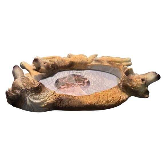 3D Collie Picture Frame Family Dog Brown White Hand Painted Holds 4x6 Photo NEW - Picture 9 of 11